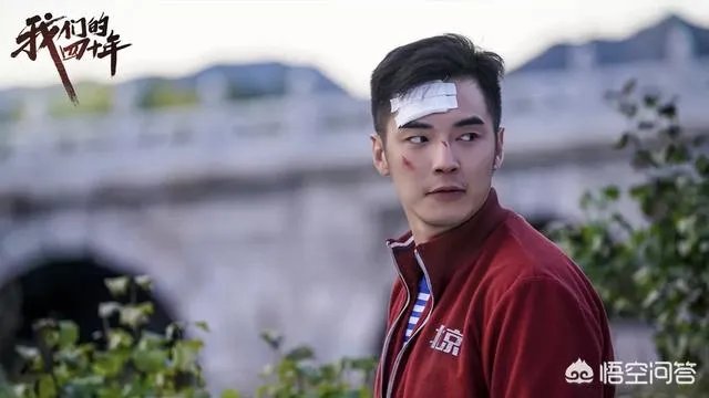 如何评价由金世佳、柴碧云、李茂、徐小飒主演的电视剧《我们的四十年》？