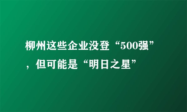 柳州这些企业没登“500强”，但可能是“明日之星”