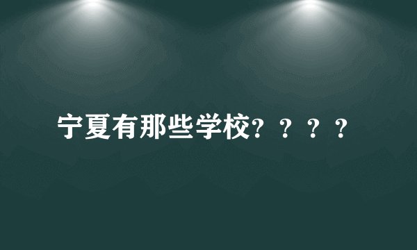 宁夏有那些学校？？？？