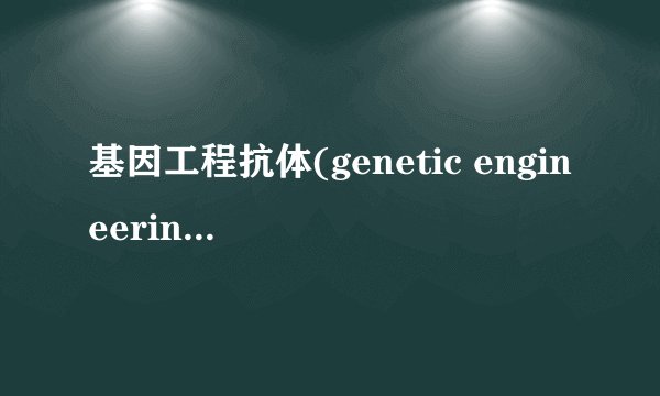 基因工程抗体(genetic engineering antibody)