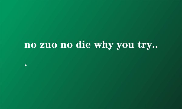 no zuo no die why you try等,后面还有两句的,是什么意思