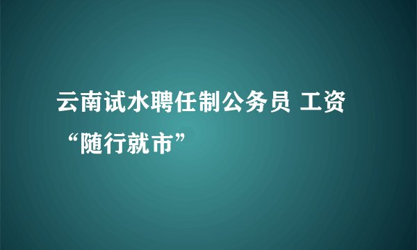 云南试水聘任制公务员 工资“随行就市”