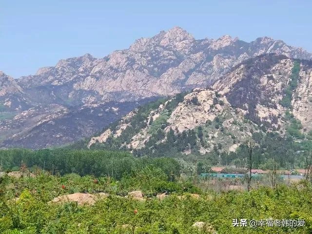 青岛小珠山火灾过火多少公顷？