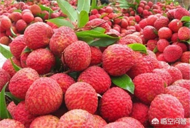 水果价格猛涨，果农还是没钱赚？如何实现利润最大化？