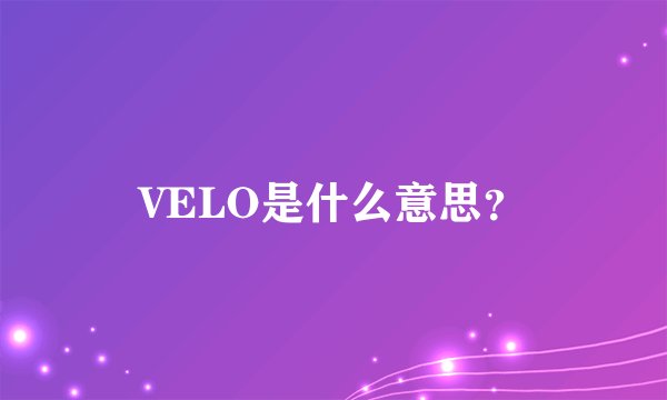 VELO是什么意思？