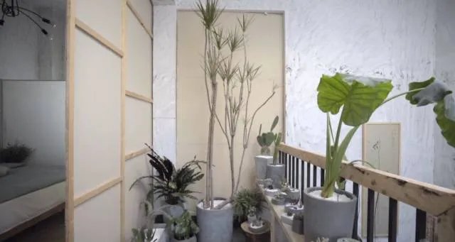 10w就装修出一幢别墅，然而自己却不敢住 | 妙屋集