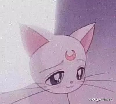 有什么好看的数学书推荐吗？