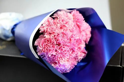 送康乃馨代表什么  康乃馨多少钱一束