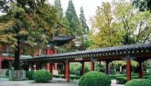 南京有哪些地方值得摄影师去拍照?