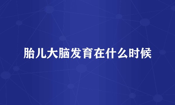 胎儿大脑发育在什么时候