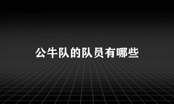 公牛队的队员有哪些