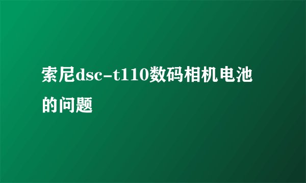 索尼dsc-t110数码相机电池的问题