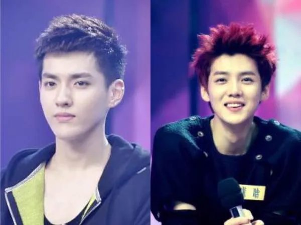 袁立上演员的诞生15分钟赚一百万，明星片酬一般是多少？