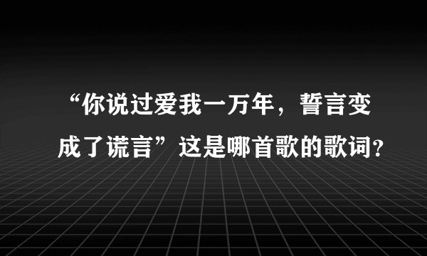 “你说过爱我一万年，誓言变成了谎言”这是哪首歌的歌词？