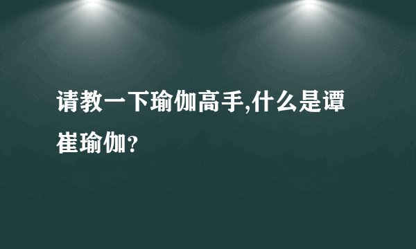 请教一下瑜伽高手,什么是谭崔瑜伽？