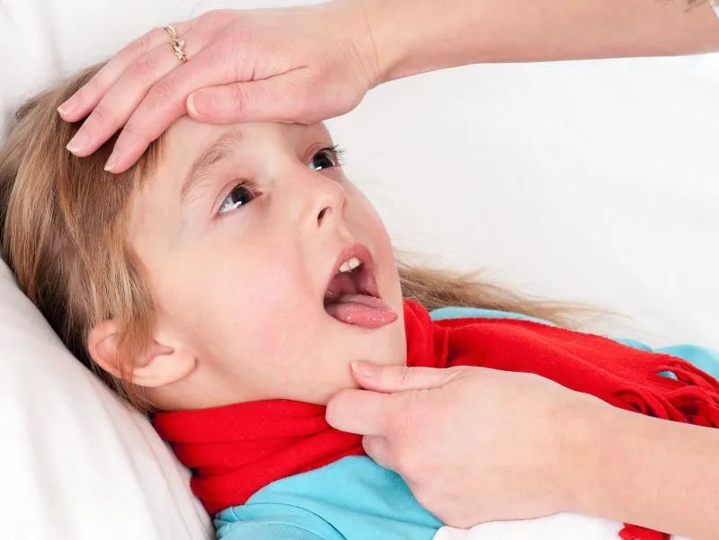 维生素C缺乏病的饮食