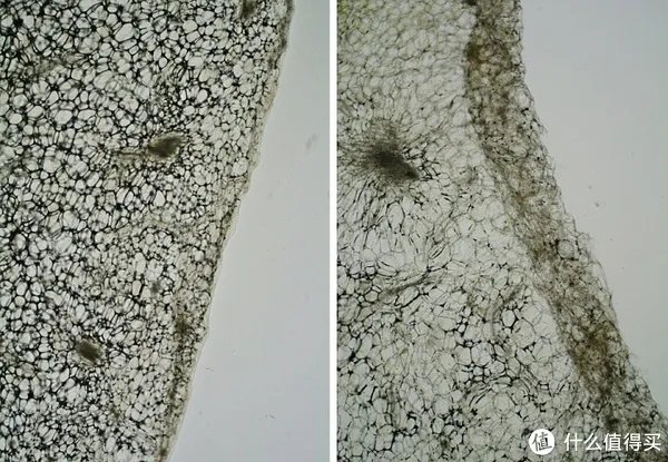 日系进口厨刀知多少 篇三：日系厨刀钢材选择解惑