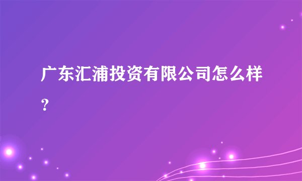 广东汇浦投资有限公司怎么样？