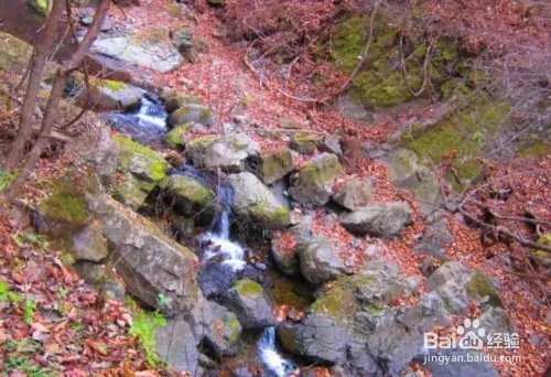 关门山旅游攻略