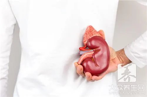 补肾鸡汤的做法有哪些