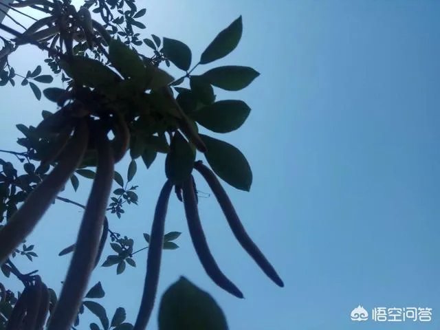 如果你的银行卡里突然多了50个亿,你晚上能睡着吗?