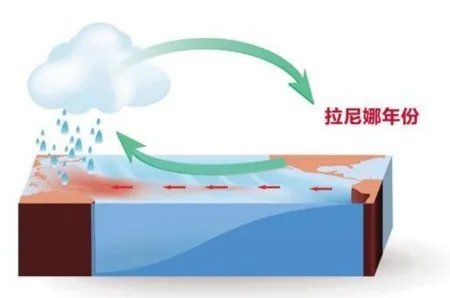 2020年的台风季结束了吗？