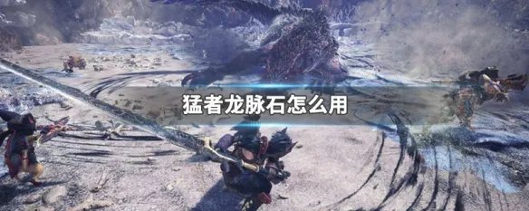 猛者龙脉石怎么用