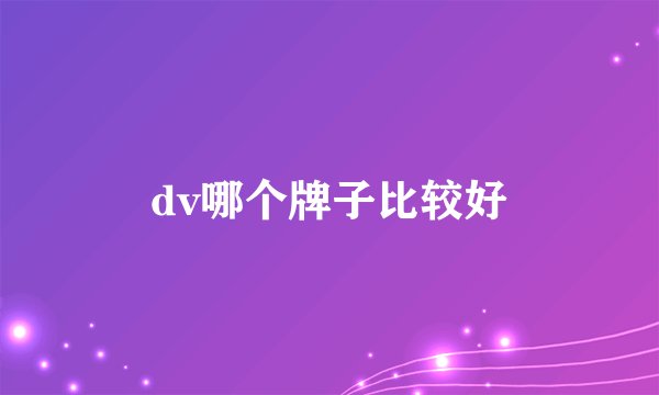 dv哪个牌子比较好