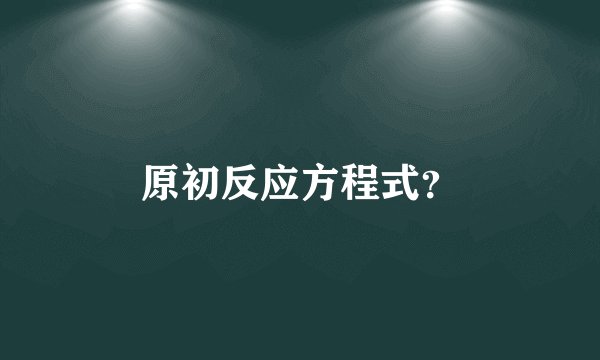 原初反应方程式？