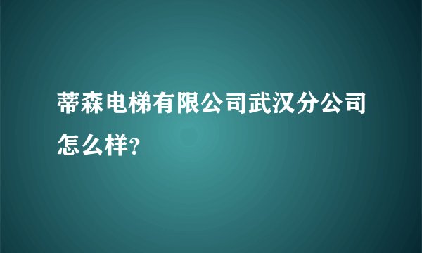 蒂森电梯有限公司武汉分公司怎么样？
