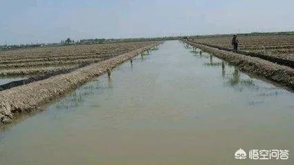 养殖小龙虾,水质该如何管理,日常管理要注意什么？