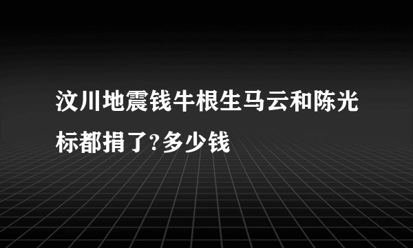 汶川地震钱牛根生马云和陈光标都捐了?多少钱