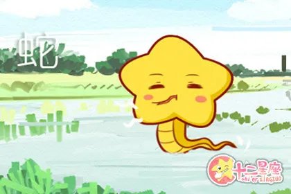 2013年属什么生肖年