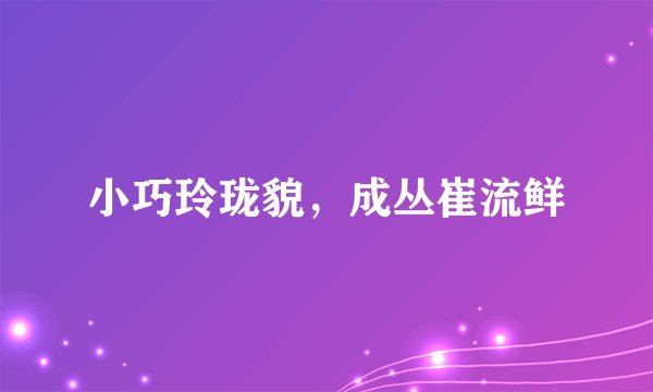 小巧玲珑貌，成丛崔流鲜