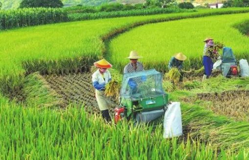 农事活动有哪些?