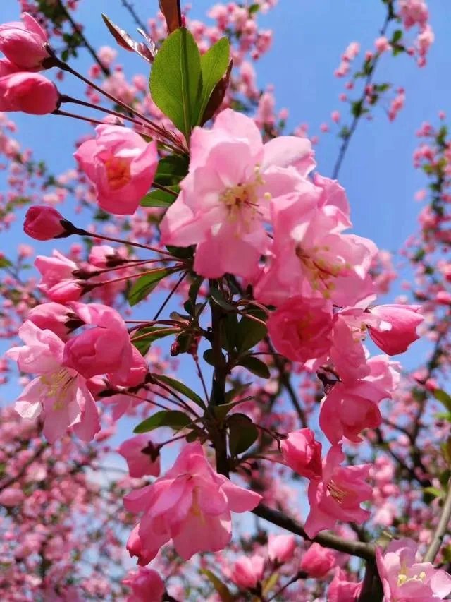 南京有哪些地方值得摄影师去拍照?