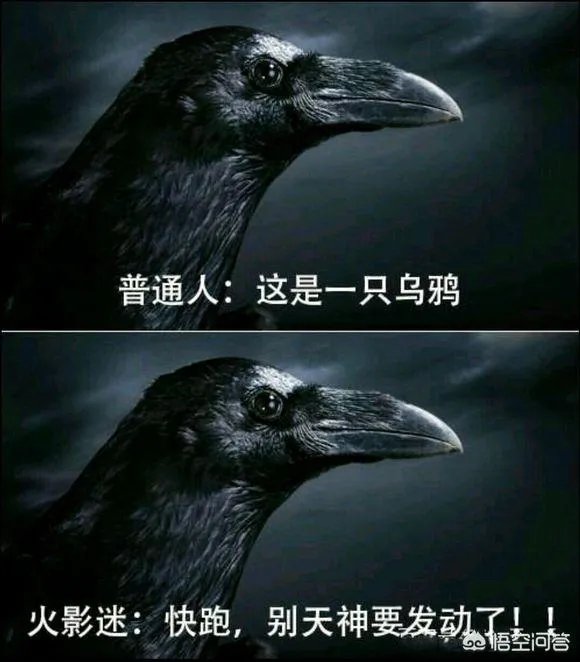 普通人与火影迷有什么区别？