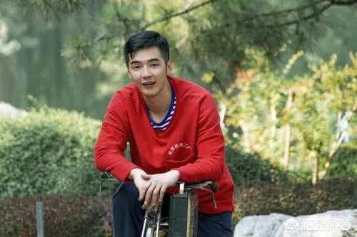 如何评价由金世佳、柴碧云、李茂、徐小飒主演的电视剧《我们的四十年》？