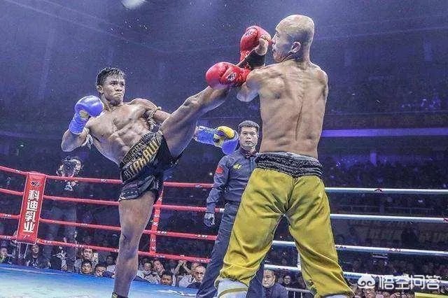 一龙为啥不和西提猜打复仇战，却要和播求打三番战？