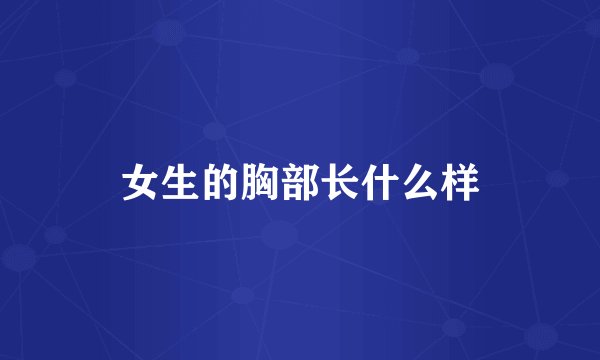 女生的胸部长什么样