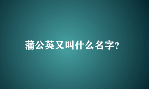 蒲公英又叫什么名字？