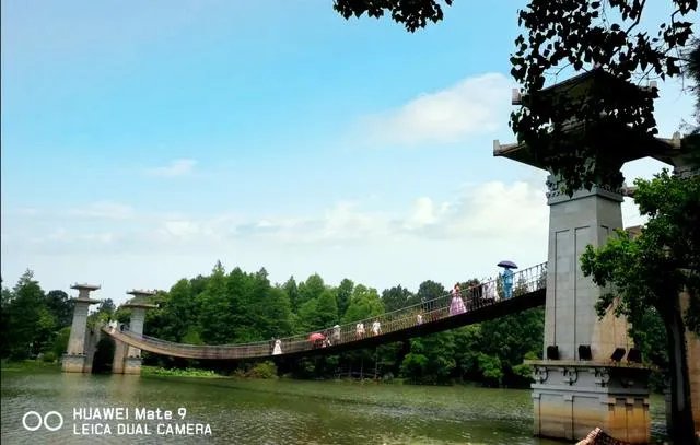 如何看待微博上流传的有一种友情叫赵薇黄晓明，还有一种失和叫赵薇陈坤这句话？