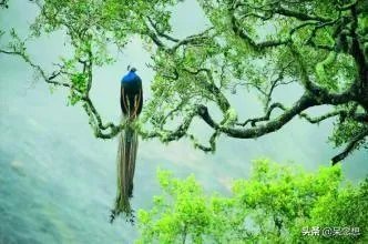 出联（1079）上联：中华腾飞，巾帼英雄创大业，如何对下联？