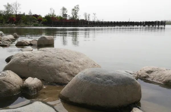 长春 29中 天涯论坛