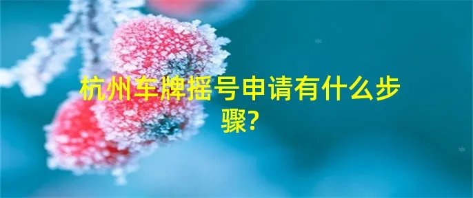 杭州车牌摇号申请有什么步骤?