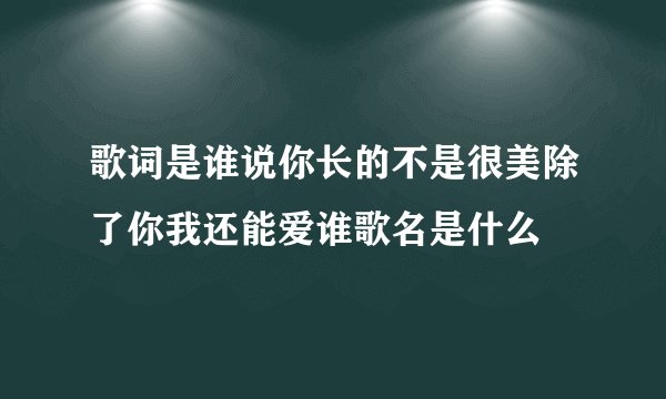 歌词是谁说你长的不是很美除了你我还能爱谁歌名是什么