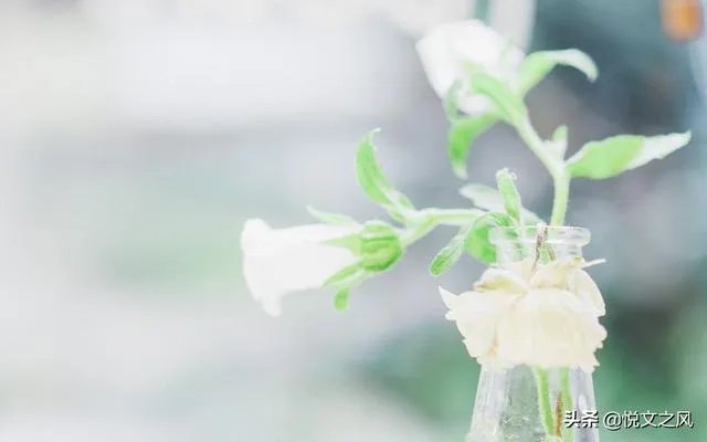 父母，夫妻，儿女，你能说出那一层关糸更亲，为什么？