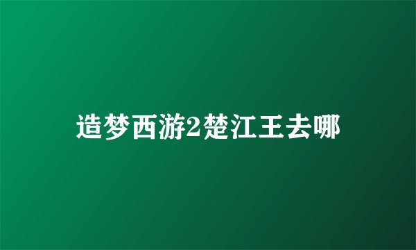 造梦西游2楚江王去哪