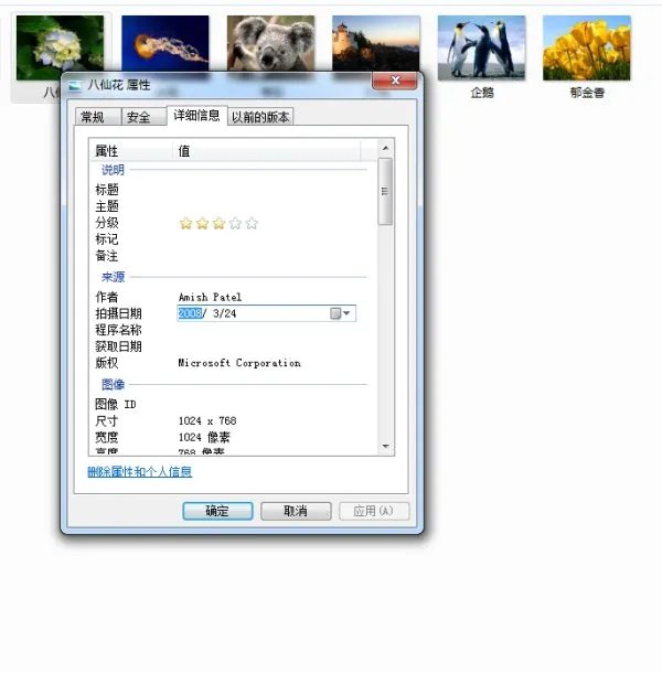 XP系统鼠标放在照片上的照相时间怎么修改
