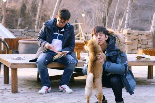 《向往的生活》锅碗瓢盆四条狗，现在过的怎么样了？